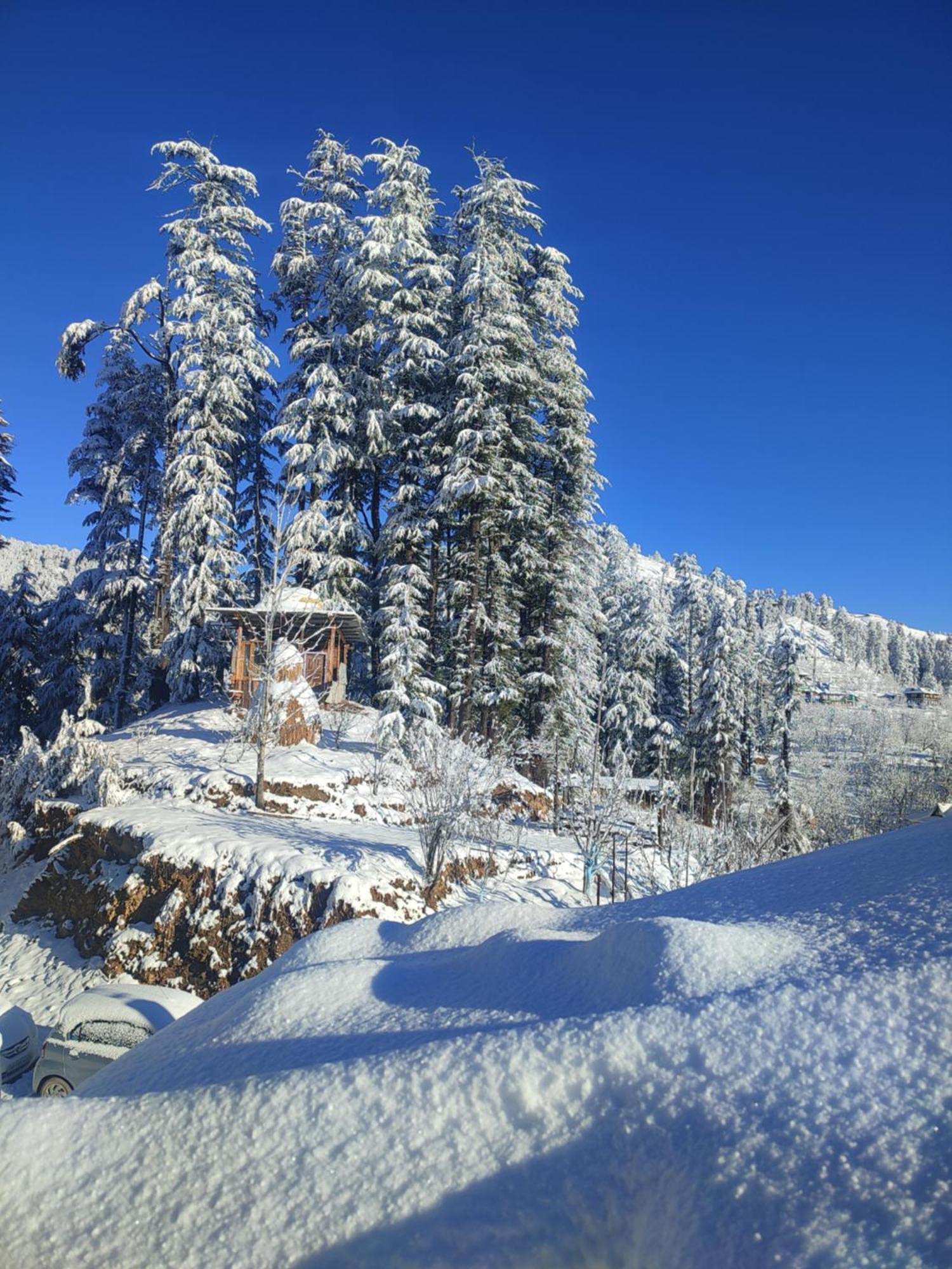 Norvin Homes Shimla Eksteriør bilde